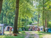Comfortplaatsen Jutberg
