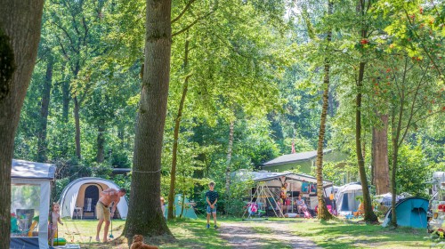 Comfortplaatsen Jutberg