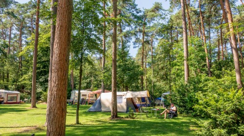 Natuurplaatsen Jutberg