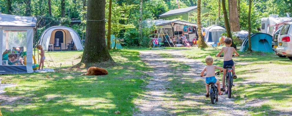 Kamperen in de natuur Vakantiedorp de Jutberg