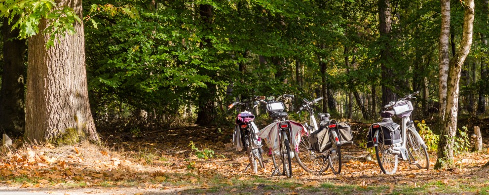 Camping Veluwezoom fietsen