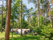 Natuurplaatsen Jutberg